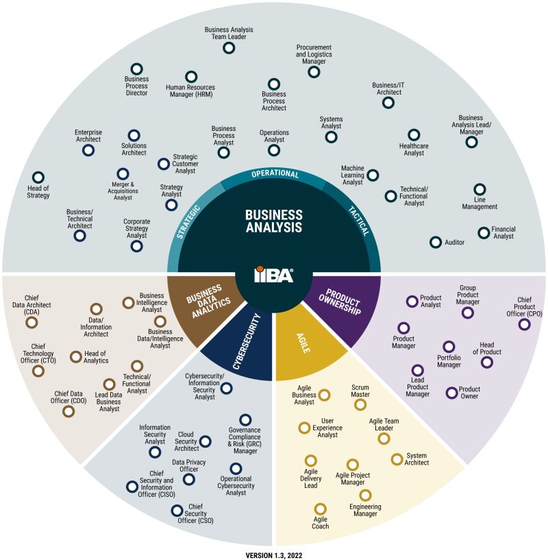 İş Analizi bir Meslek mi yoksa bir Uzmanlık mıdır?