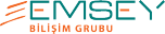 EMSEY BİLİŞİM GRUBU